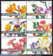 Netherlands 2003 Summer Welfare, Flowers 6v [++], Mint NH, Nature - Flowers & Plants - Nuevos
