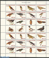 Suriname, Republic 2006 Birds 2x12v Sheet With Gutters, Mint NH, Nature - Birds - Owls - Suriname