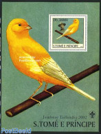 Sao Tome/Principe 2003 Birds, Scouting S/s, Mint NH, Nature - Sport - Birds - Scouting - Sao Tome Et Principe