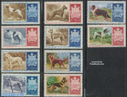 San Marino 1956 Dogs 10v, Unused (hinged), History - Nature - Coat Of Arms - Dogs - Unused Stamps