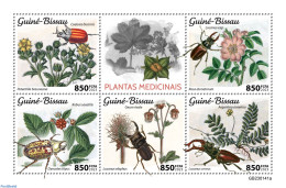 Guinea Bissau 2023 Medical Plants, Mint NH, Nature - Flowers & Plants - Insects - Guinea-Bissau
