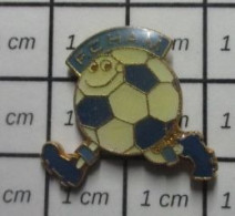 713B Pin's Pins / Beau Et Rare / THEME : SPORTS / FOOTBALL CLUB FC HAM - Voetbal