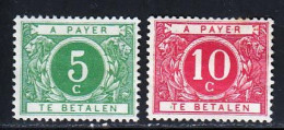 Belgique Taxe 1916 Yvert 12 / 13 (*) TB Neuf Sans Gomme - Timbres