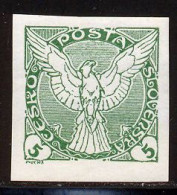 Tchecoslovaquie Journaux 1919 Yvert 2 ** TB - Dagbladzegels