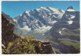 Blumenpracht Bei Dürrenbergalp Im Obern Kiental  - (Schweiz/Suisse) - 1973 - Reichenbach Im Kandertal