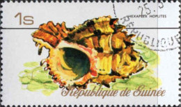 Guinée (Rep) Poste Obl Yv: 581/589 Coquillages De Guinée (Beau Cachet Rond) - Guinée (1958-...)