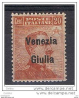 VENEZIA  GIULIA:  1918/19  SOPRASTAMPATO  -  20 C. ARANCIO  N. -  SASS. 23 - Venezia Giuliana