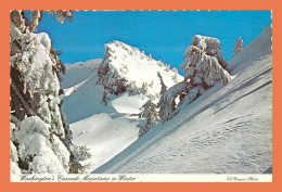 A603 / 147 Winter In Washington's Cascade Mountains - Other & Unclassified