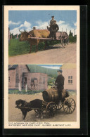 AK Québec, Old Norman Ox Cart, Waterboy And Dog Cart  - Non Classificati