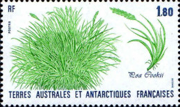 TAAF Poste N** Yv:125/126 Flore Antarctique - Unused Stamps