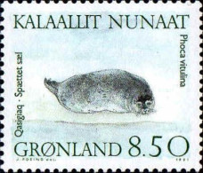 Groenland Poste N** Yv:204 Mi:216 Quasigiaq Spaettet Sael Phoca Vitulina - Unused Stamps