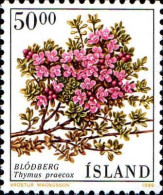 Islande Poste N** Yv:643 Mi:690 Blodberg Thymus Praecox - Unused Stamps