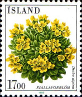 Islande Poste N** Yv:584 Mi:631 Fjallavorblum Draba Alpina - Neufs