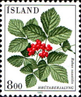 Islande Poste N** Yv:581 Mi:628 Hrutaberjalyng Rubus Saxatilis - Unused Stamps
