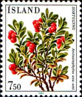 Islande Poste N** Yv:573 Mi:620 Sortulyng Arctostaphylos Uva-uris - Ungebraucht