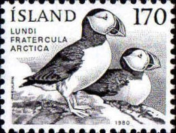 Islande Poste N** Yv:512 Mi:559 Lundi Fratercula Arctica - Nuovi