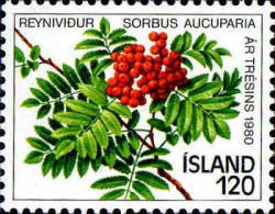 Islande Poste N** Yv:507 Mi:554 Sorbus Aucuparia Année De L'arbre - Unused Stamps