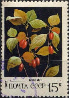 Russie Poste Obl Yv:4890 Mi:5158 Cornouille (cachet Rond) - Used Stamps