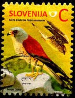 Slovénie Poste Obl Yv: 885 Mi:1061D Falco Naumanni (Beau Cachet Rond) - Slovénie