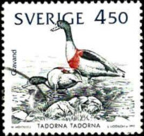 Suède Poste Obl Yv:1727 Mi:1745 Tadorna Tadorma (cachet Rond) - Oblitérés