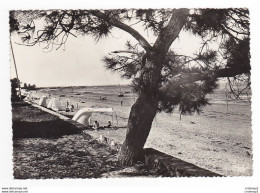 17 RONCE LES BAINS Vers La Tremblade La Plage En 1945 VOIR DOS Et Timbre - La Tremblade