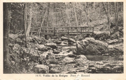 BELGIQUE - Vallée De La Hoëgne - Pont Du Renard - Carte Postale Ancienne - Sonstige & Ohne Zuordnung