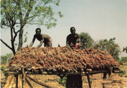 Bénin * Parakou , Province De Borgou * Grenier De Mil , Ferme Oredola * éthnique Ethnic Ethno - Benin