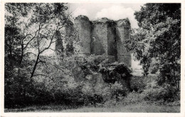 BELGIQUE - Franchimont - Ruines Du Château De Franchimont - Façade Sud - Vue Des Donjons - Carte Postale - Autres & Non Classés