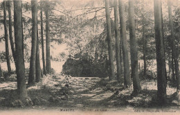 BELGIQUE - Marche - La Tête Du Lion - Chemin - Carte Postale Ancienne - Marche-en-Famenne