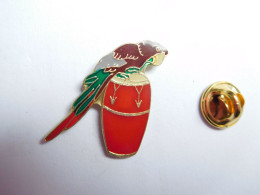 Beau Pin's , Oiseau Perroquet , Tam Tam - Animaux