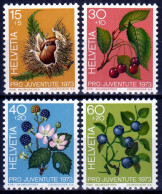 Switzerland / Helvetia / Schweiz / Suisse 1973 ⁕ Pro Juventute Mi.1013-1016 ⁕ 4v MNH - Nuovi