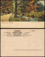 Ansichtskarte Tiergarten-Berlin Partie Aus Dem Tiergarten, Brücke 1912 - Tiergarten