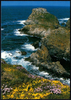 FRANCE - BRETAGNE - LA POINTE DU VAN - LE ROCHER DE MORGANE - I - Plogoff