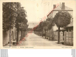 58.  CORBIGNY .   Avenue Saint-Léonard . - Corbigny