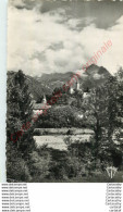 74.  FAVERGES . Le Château Et Les Premières Pentes Du MOnt Charvin .  Chaine Des Aravis . - Faverges