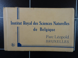 Carnet De 20 CP Institut Royal Des Sciences Naturelles De Belgique - Museos