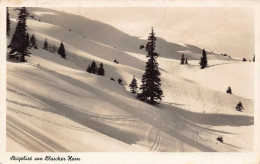 Gemeinde Blaichach Bei Sonthofen - Skigebiet Am Blaicher Horn (Bleicherhorn) - Sonthofen