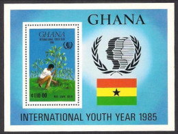 GHANA 1985 - International Youth Year, IYY Plants, Flags, Miniature Sheet,  MNH - Ghana (1957-...)