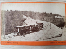 Photographie Ancienne 13/18cm  - Meilen Zürichsee - J. Steiger - Train - Pont - Europa