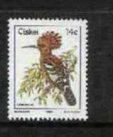 CISKEI, 1986, MNH Stamp(s), Definitive Bird 14 Cent,  Nr(s). 97 - Ciskei