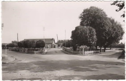 MIREBEAU En POITOU   Jardins Publics - Mirebeau