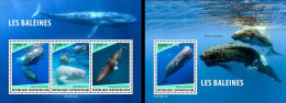 Centrafrica 2023, Animals, Whales, 3val In BF+BF - Central African Republic