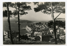 Mali Lošinj Old Postcard (Đ. Griesbach) Posted 1951  PT240401 - Croazia