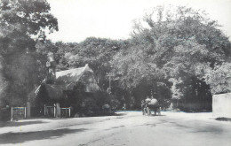 History Nostalgia Repro Postcard Offington Park East Lodge 1906 - Histoire