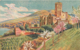 ARTS - Peintures Et Tableaux - Aux Environs Du Château - Carte Postale Ancienne - Schilderijen