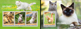 Centrafrica 2023, Animals, Cats, 3val In BF+BF - Katten