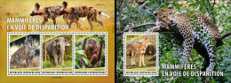 Centrafrica 2023, Animal In Danger, Wild Cat, 3val In BF+BF - Big Cats (cats Of Prey)