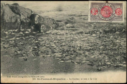 Let SAINT PIERRE ET MIQUELON 82A : 15c. Violet-brun Et Rose Obl. Càd S. CP Pour St Suliac (Ile Et Vilaine), TB - Covers & Documents