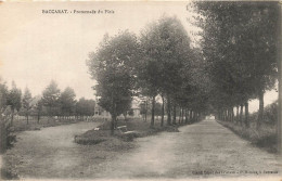Baccarat * Chemin , Promenade Du Pâtis - Baccarat