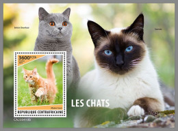 CENTRAL AFRICAN 2023 MNH Cats Katzen S/S – IMPERFORATED – DHQ2415 - Chats Domestiques